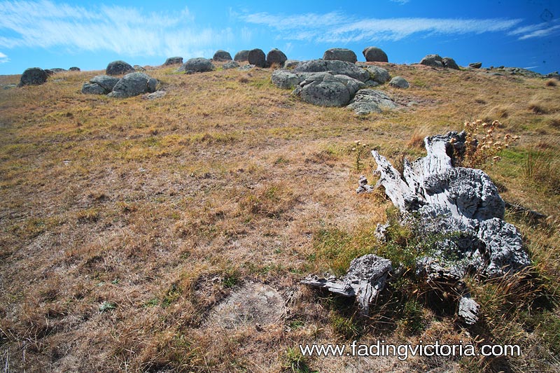 Granite rock and an old tree stump.