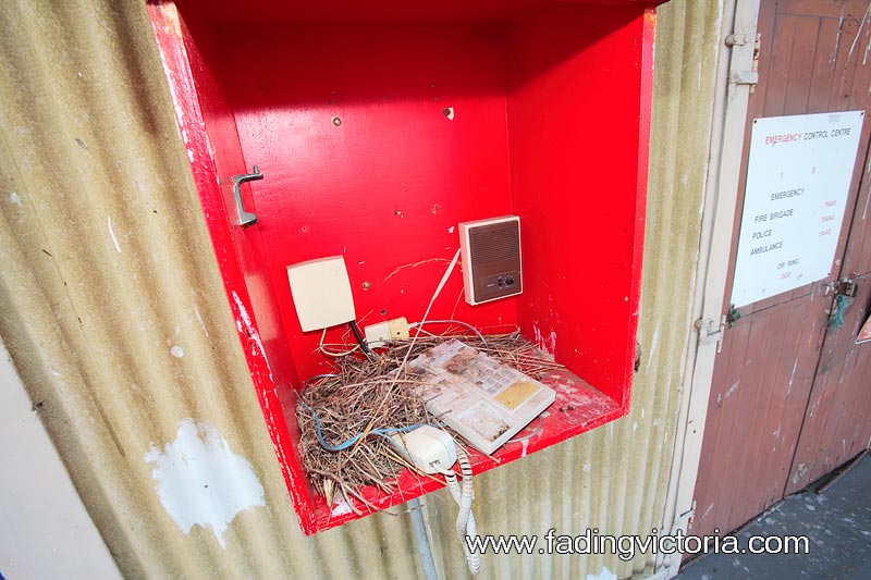 Phone, external ringer, birds nest.