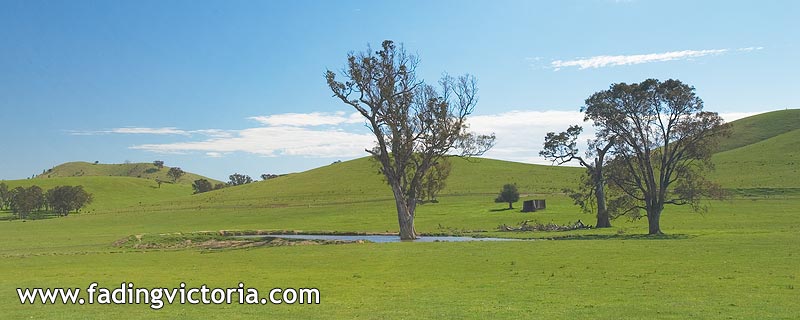 Rolling green hills