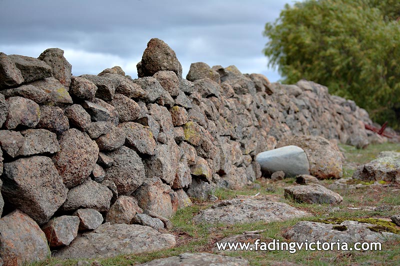 Old stone fence on redevelopment site