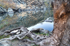 Pool at Turpin's Falls