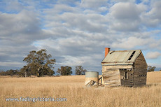 Rural cottage ruins