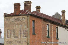 DeWitt's Otis Tonic Tablets