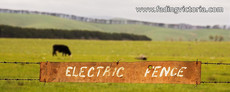 Electric fence