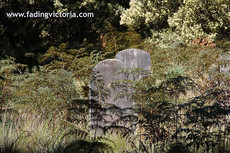 Abandoned Cemetery